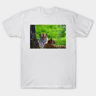 Amur Tiger T-Shirt